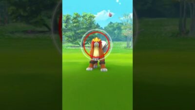 Pokémon Go fleeing Raid Boss bug perplexes trainers